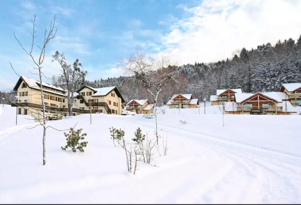 Duplex-Chalet Entre Lac Et Montagne Avec Balcon Lugrin Bagian luar foto